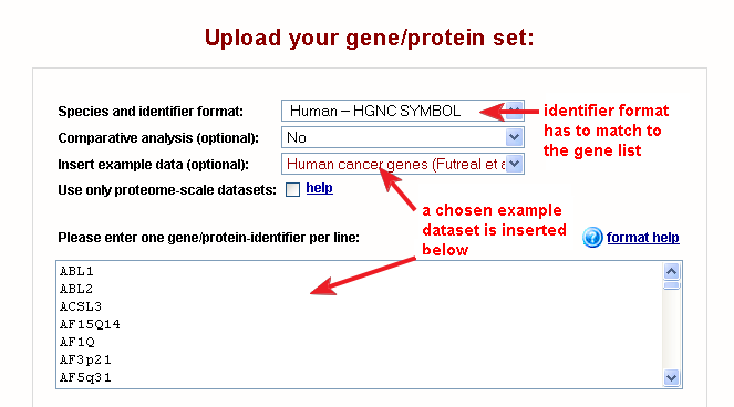 example settings